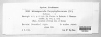 Image Associated With the Occurence